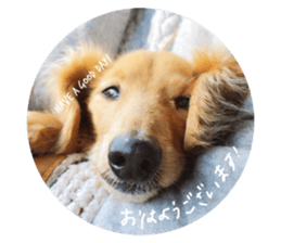 315819114