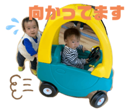 315851198