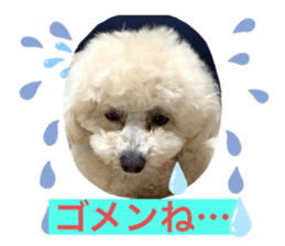 315862741