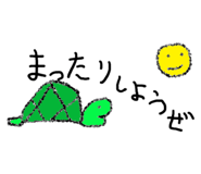 315884571