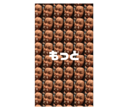 316025646