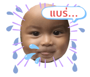 316070381