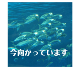 316073589