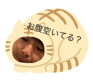 316074635