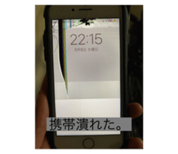 316086341