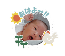 316107823