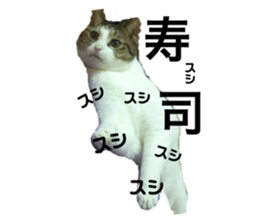 316317944
