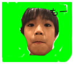 316354241