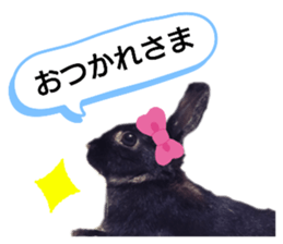 316401471