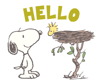 Snoopy ยุค 80's รูปที่ 10