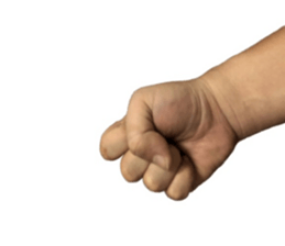 316509610
