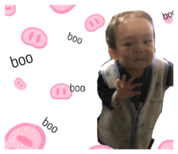 316545334