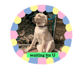 316545395