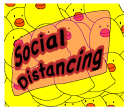316552654