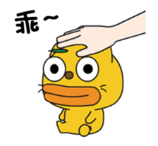 316562654