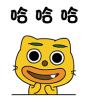 316562655