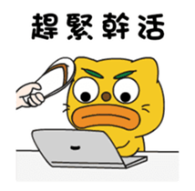 316562668
