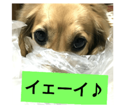 31657144