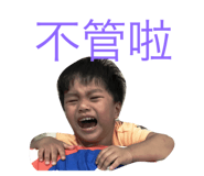 31668164