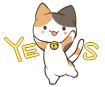 316694