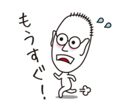 31673981