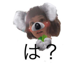 316906662