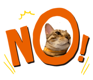 316983924