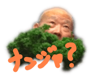 317045853