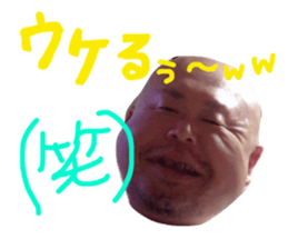 31706445