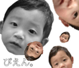 317137502