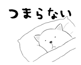 31713825