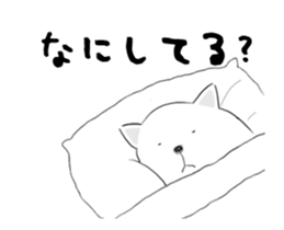 31713837