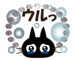317141170