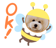 317141923