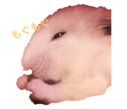 317154815