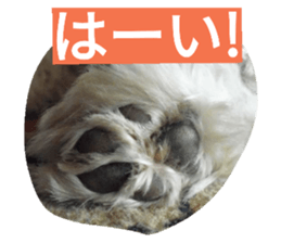 31715499
