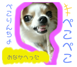 317202381