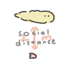 317206044