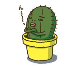 3172255