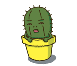 3172290
