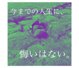 317236299