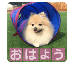 317323926