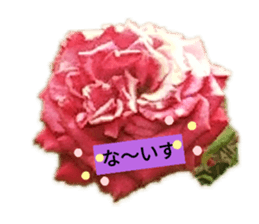 317362691