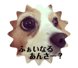 317387502