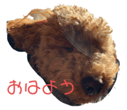 317459516