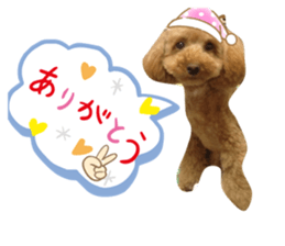 317538442
