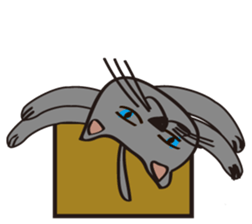 3175433
