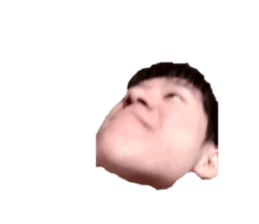 317551964