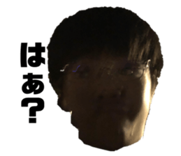 317551981
