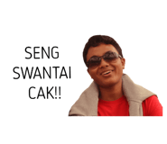 31755623